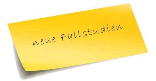 Fallstudien-2